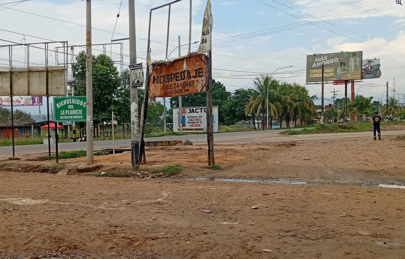 Zonas serán embellecidas con siembra de árboles